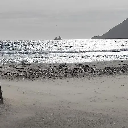 L'effet - - Sablettes La Seyne-sur-Mer